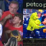 hockey mom pushes referee