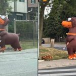 Viral dog walker who wears massive dachshund outfit explains why he does it
