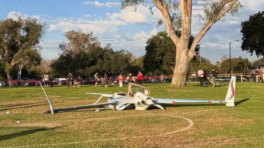 florida woman after fighting alligator