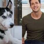 father son dogs
