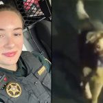florida woman after fighting alligator
