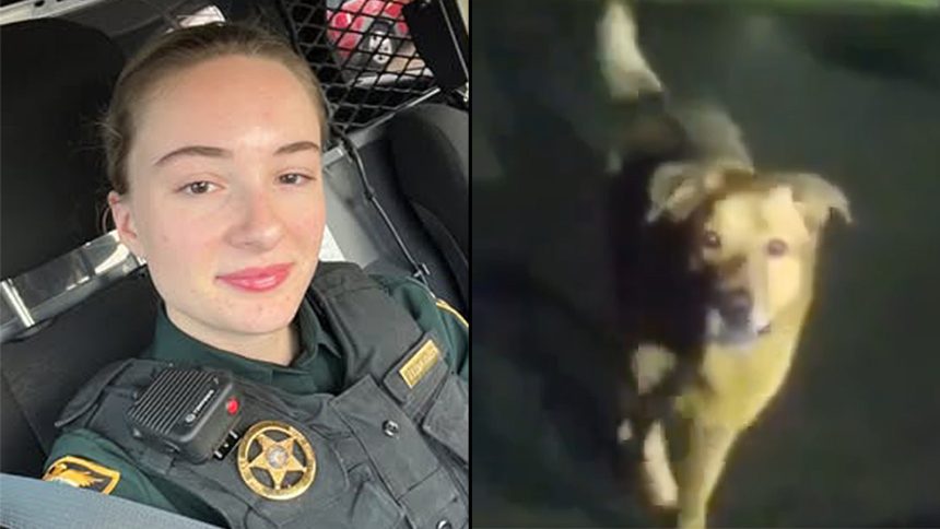 florida woman after fighting alligator