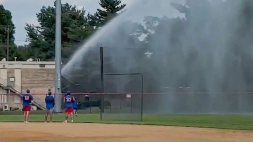 Phillies fan baseball snatched