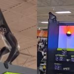 Teen screams in Primate.