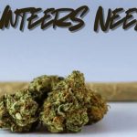 Michigan State Police rescue woman from forest