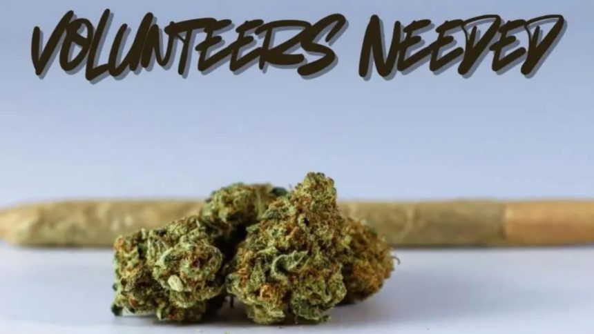 Michigan State Police rescue woman from forest