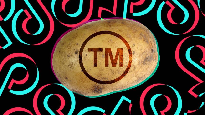 A photo of TikToker Kelsey Kotzur and her cardboard cutout.