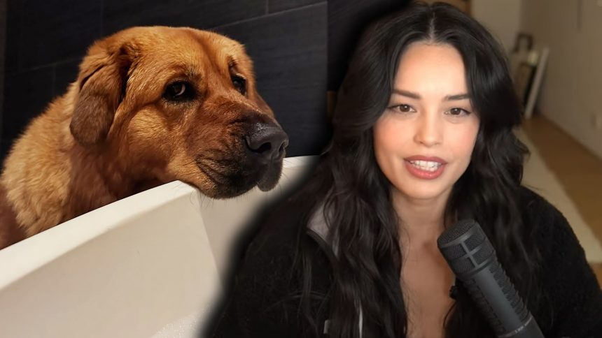 Valkyrae and Cinna crying on stream while talking to camera