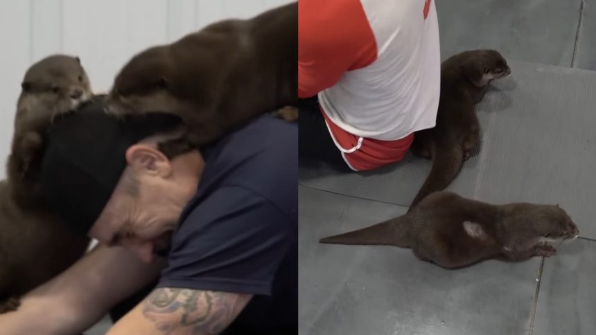 100-year-old working out at gym