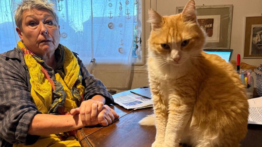 A cat and a puppy lie together in the grass.