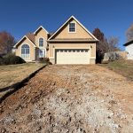 swarm of robber bees