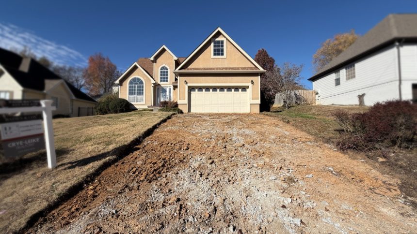 swarm of robber bees