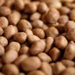 picture of a pile of peanuts