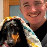 Couple’s pet dachshund miraculously survives 529 days in Australian wilderness