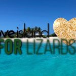 love island for lizards