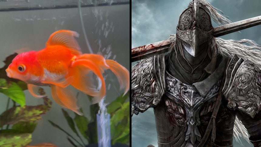 Promised Consort Radahn in Elden Ring: Shadow of the Erdtree