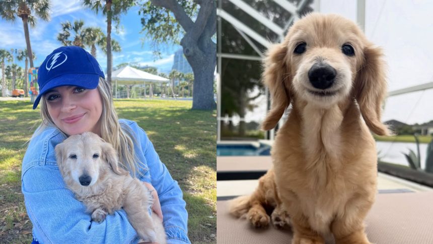 Viral smiling dog Bella dies after sudden medical emergency