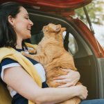 cat riding in car