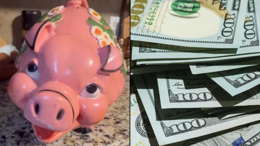 Woman goes viral after finding thousands in $10 Goodwill piggy bank