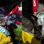 A photo of VTuber Illy in her bedroom.