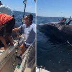 fisherman jump on dead whale