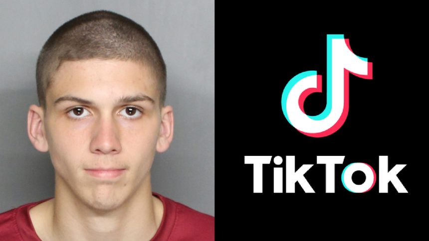 florida mans mugshot on the left, tiktok logo on the right