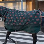 Horse running through a street
