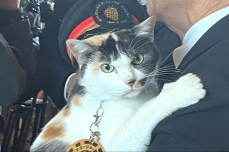 A screenshot featuring Yontama the stationmaster in Japan.