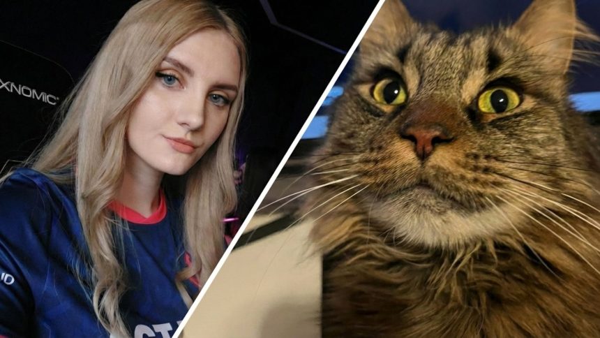 Stratospanda and her cat side-by-side