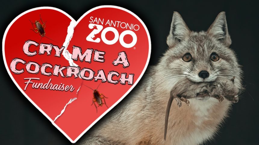 The San Antonio Zoo's Cry me a Cockroach logo alongside a photo of a fox with a dead rodent in its mouth.