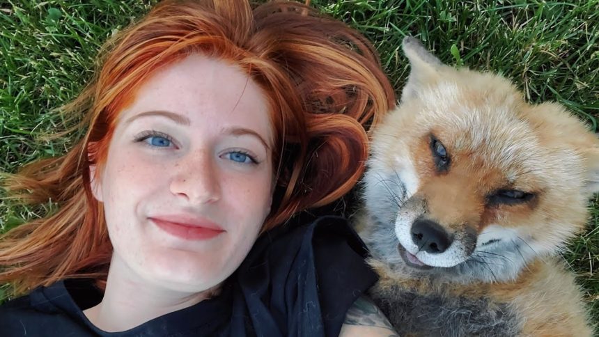 finnegan the fox save a fox charity