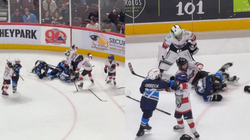 kids fight in under 8 hockey game