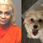 aspen kartier mugshot and her puppy