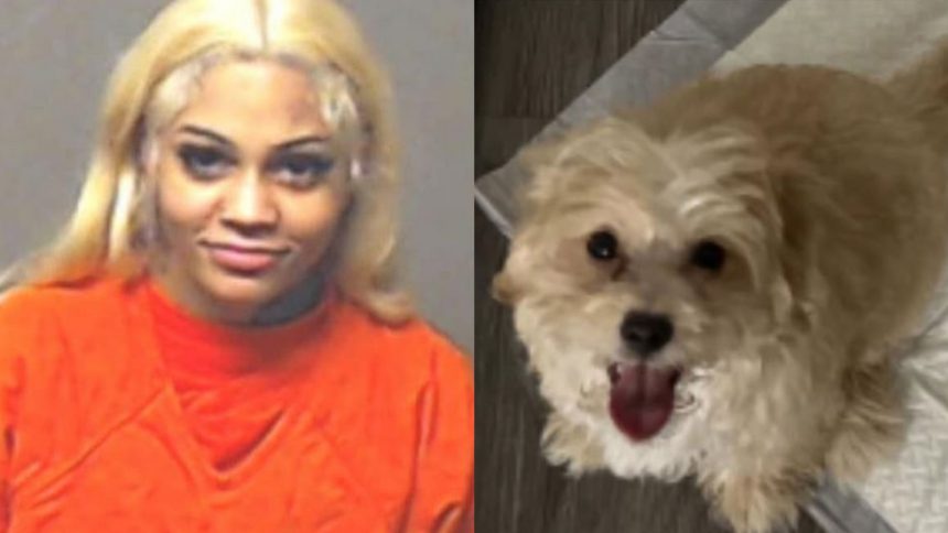 aspen kartier mugshot and her puppy