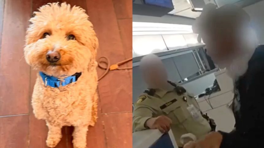 dog left behind woman arrested