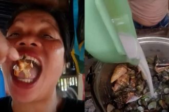 Emma Amit dies eating devil crab