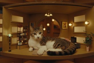 A photo of a cat in the ENEOS high rise apartment for cats.