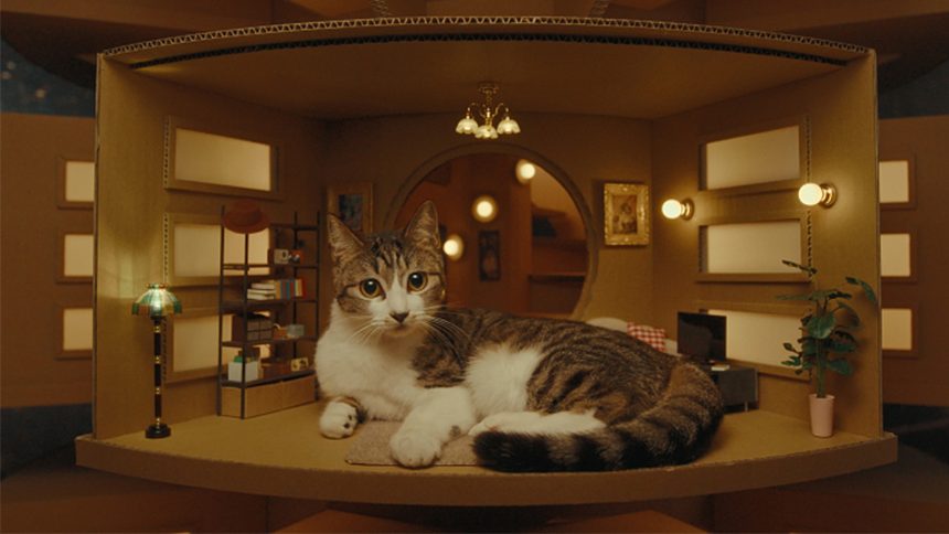 A photo of a cat in the ENEOS high rise apartment for cats.