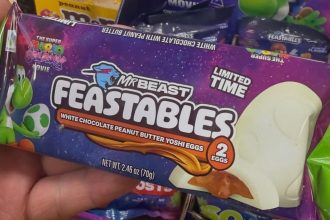 MrBeast mario feastables