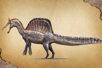 Spinosaurus mirabilis