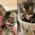 A photo of Marie Fox and Daisy.