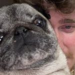 cyrilschr crying with his dog albert