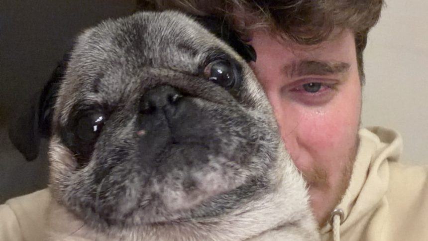 cyrilschr crying with his dog albert