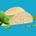 iguana taco