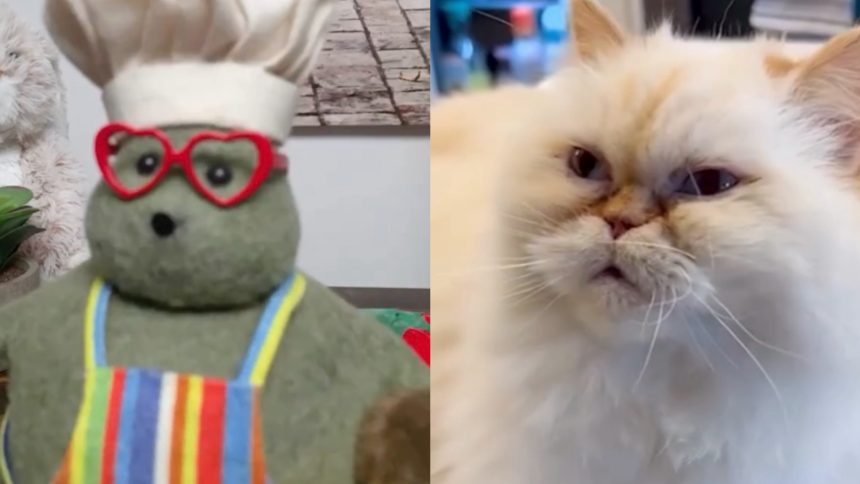 Capybara location Peak