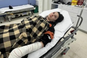 bisscute katana update