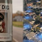 Ring doorbell advertisement